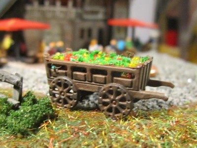 IMG_5865_800x600.JPG