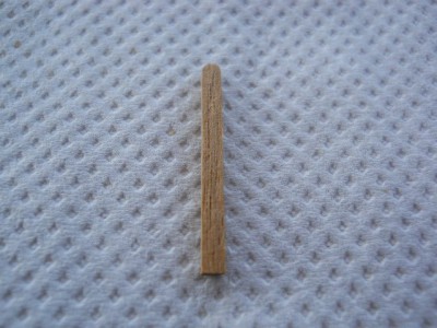 DSCN0313.JPG