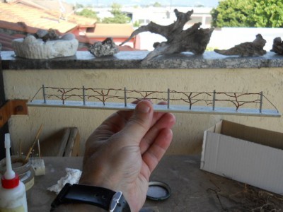 DSCN0368.JPG