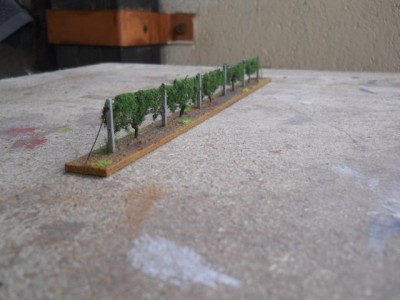 DSCN0500.JPG