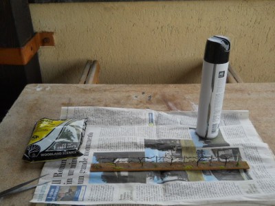 DSCN0492.JPG