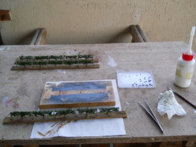 DSCN0508.JPG