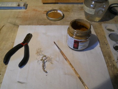 DSCN0513.JPG