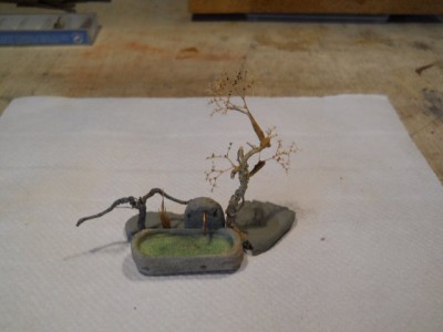 DSCN0530.JPG
