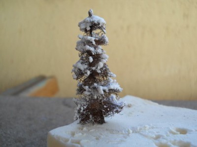 DSCN0676.JPG