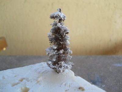 DSCN0678.JPG