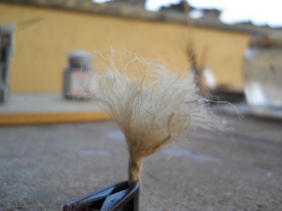 DSCN0724.JPG