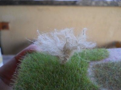 DSCN0726.JPG