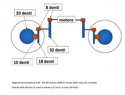 8 denti.jpg