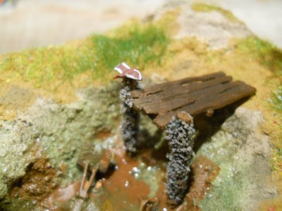 DSCN1005.JPG