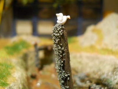 DSCN1006.JPG
