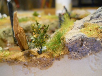 DSCN1021.JPG