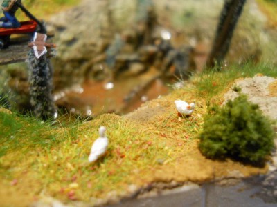 DSCN1025.JPG