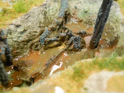 DSCN1034.JPG
