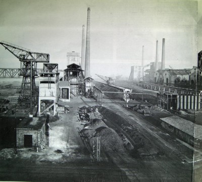 CIMG5459_zps4647c704.jpg
