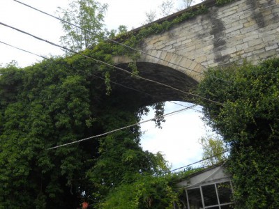 DSCN6851.JPG