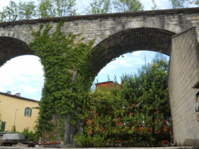 DSCN6855.JPG