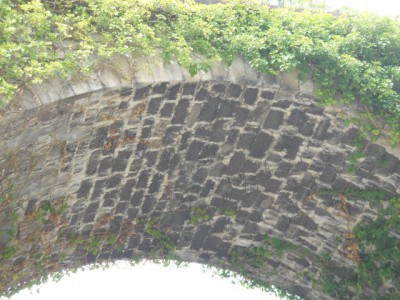 DSCN6864.JPG