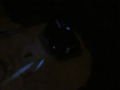 IMG_3258_1024x768.JPG