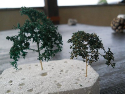 DSCN2588.JPG