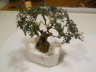 DSCN2616.JPG