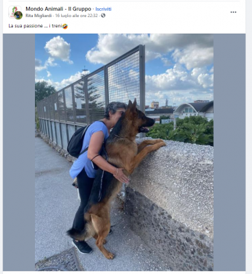 cane.PNG