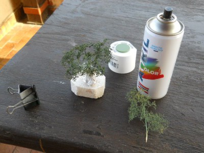 DSCN2655.JPG