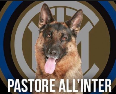 pastore.jpg