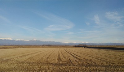 Panorama nei pressi di Carpignano Sesia. Risaie incolte e sullo sfondo le Alpi Lepontine.