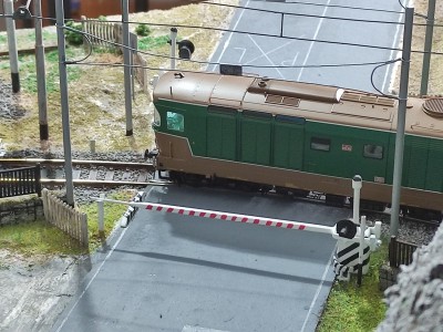4451.jpg