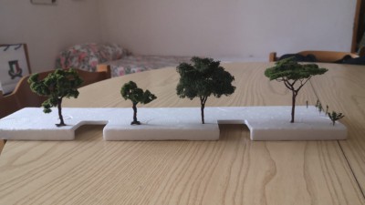 Alberi.jpeg