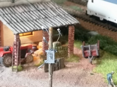 IMG_20220615_164215.jpg