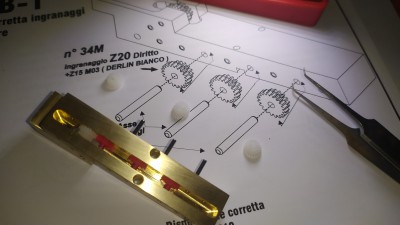 Ultimi ingranaggi trasmissione (bianchi)