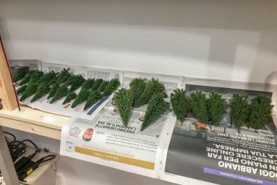 2023 03 03 - alberi pronti per la posa-4.jpg
