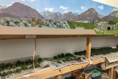 2023 03 03 - alberi pronti per la posa-3.jpg