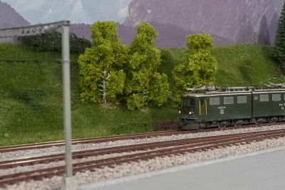 2023 04 22 - ancora vegetazione-3.jpg