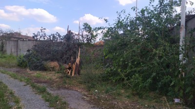 La Madonnina dei tranvieri di Desio