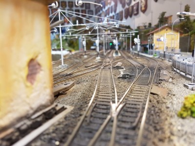 20180216_195635 (FILEminimizer).jpg