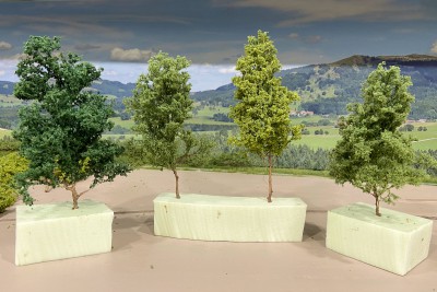 2024 06 09 - alberi-Teloxis 5.jpg