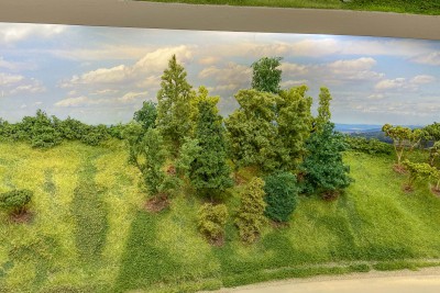 2024 06 09 - alberi-lato Sorbole 3.jpg
