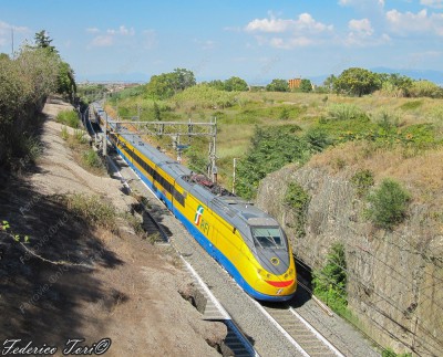Aiace_torricola.jpg