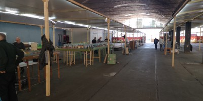 IMG_20250404_121501.jpg