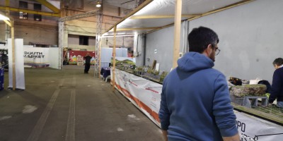 IMG_20250404_190151.jpg
