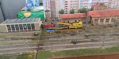 IMG_20250406_133245.jpg