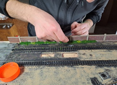 Muro Lato Nord - Prima posa vegetazione