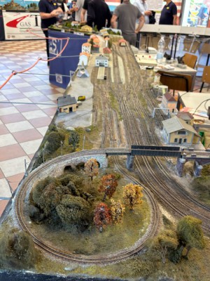 IMG_1407.jpg