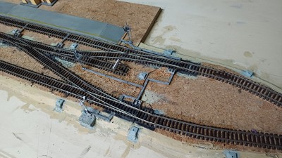20250624_114255.jpg