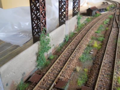 DSCN9459.JPG