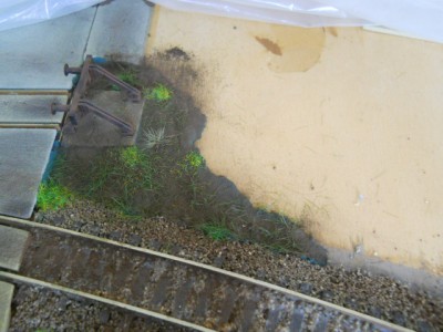 DSCN9478.JPG
