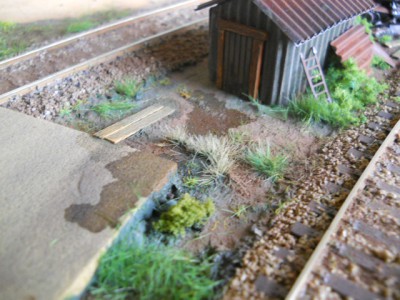 DSCN9481.JPG